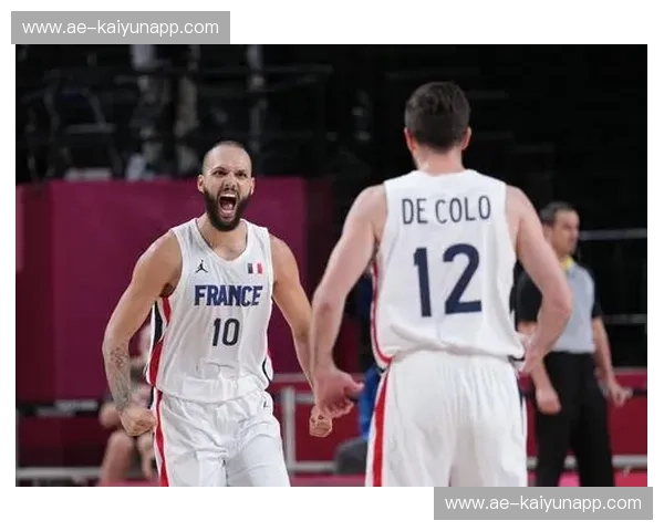 积分榜法国队:荣耀与激情的双重奏 积分榜法国队:荣耀与激情的双重奏